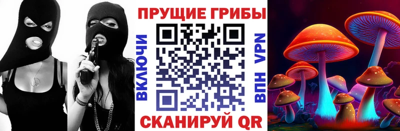 Псилоцибиновые грибы прущие грибы  мориарти состав  Ковылкино 